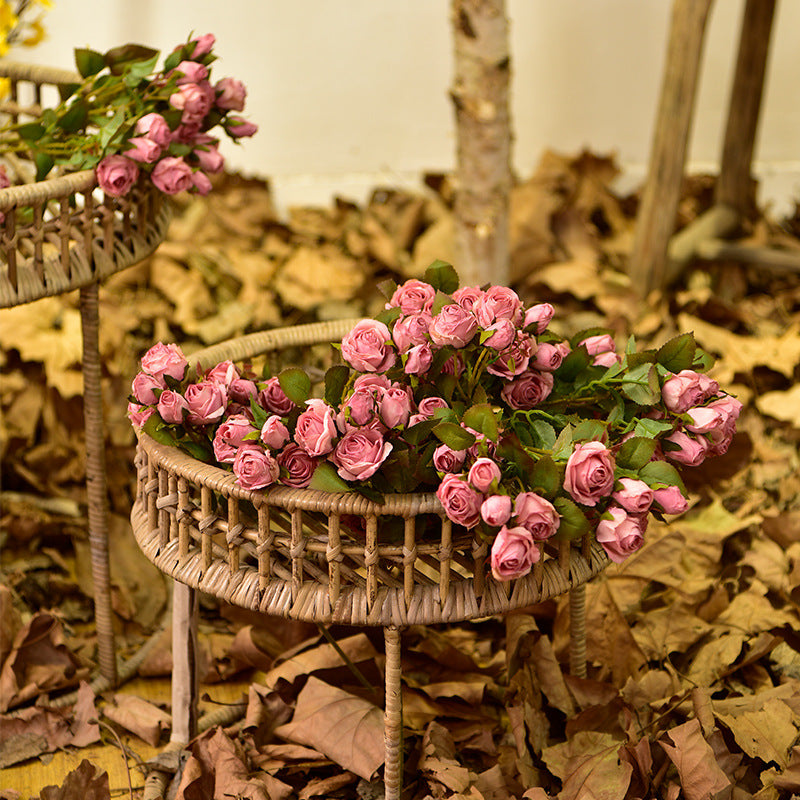 16" Burnt Rose Stems